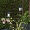 Nature Spring Solar Powered Lights-Set of 2, 32" Hanging Coach Lanterns with 2 Shepherd Hooks-LED Outdoor Lighting 909987VAJ - alternate 1